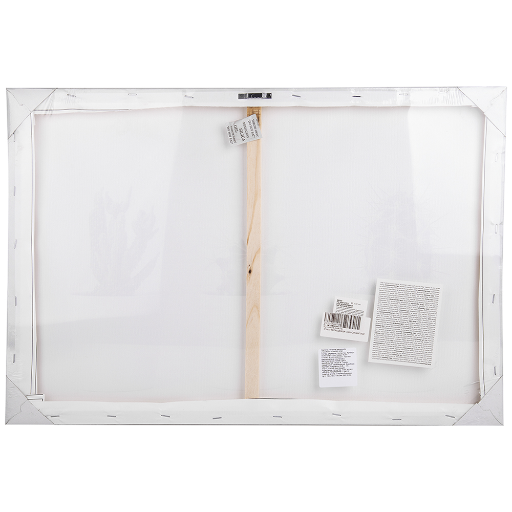 

Картина Кактусы, репродукция, 40x60 см